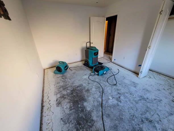 Best Water damage restoration cost  in Eagle Lake, MN
