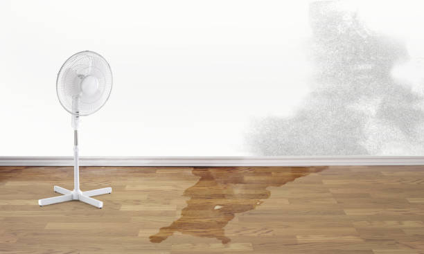 Best Water damage restoration insurance claims  in Eagle Lake, MN