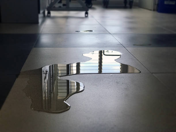 24/7 water damage repair in MN