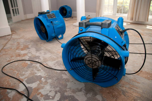 Best Flood damage cleanup  in Eagle Lake, MN