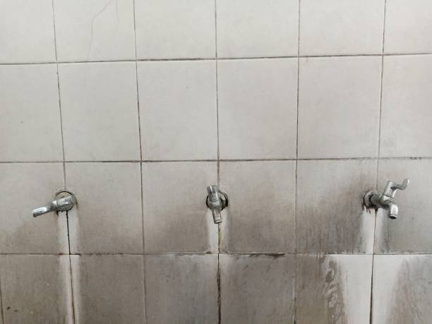 Best Commercial water damage restoration  in Eagle Lake, MN