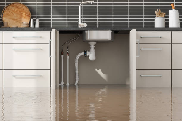 Best 24/7 water damage repair  in Eagle Lake, MN