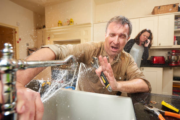 Best Carpet water damage restoration  in Eagle Lake, MN
